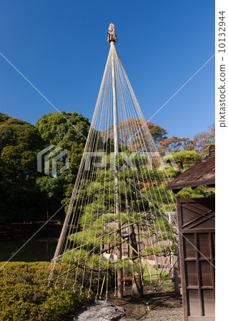 白雪皚皚的日本花園 白雪皚皚的日本花園 10132944
