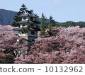 Takato Castle and Cherry Blossoms 10132962