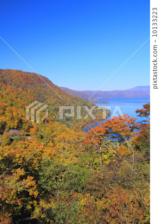 Towadako·Shimbun通行證秋季葉子 Towadako·Shimbun通行證秋季葉子 10133223