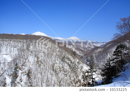 城堡早期的春天倉庫谷 城堡早期的春天倉庫谷 10133225