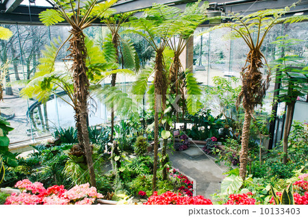 服部格陵蘭城市綠化植物園 服部格陵蘭城市綠化植物園 10133403