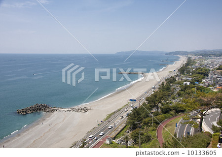 Katsurahama Kochi Prospect Katsurahama Kochi Prospect 10133605