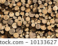 Wood log 10133627