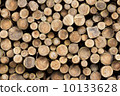 Wood log 10133628