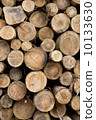 Wood timber log 10133630