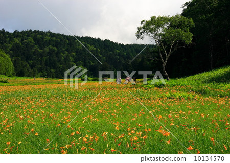 Oki no Oga, Oga Mire 10134570