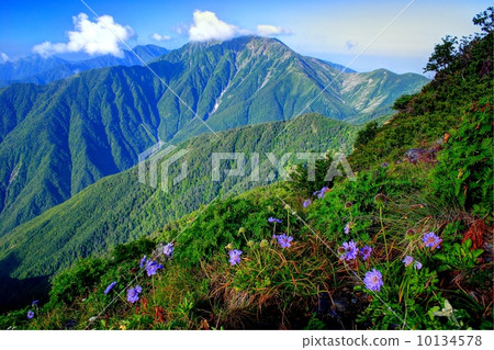 從南阿爾卑斯山到Senbondake，Matsumoto Shishou和Akaishidake 10134578