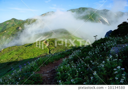 朝日山峰·Mt. Dobuto和流雲·Hakusanchisige社區 10134580