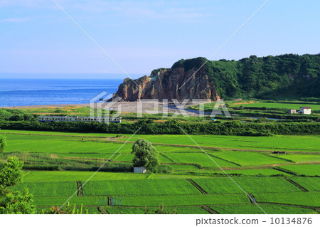 The Sea of Japan in the summer and Gokon line 10134876