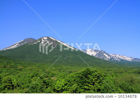 Early summer Hakkoda Commonwealth 10134878