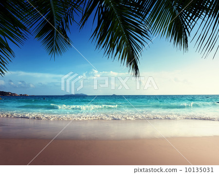 sunset on Seychelles beach 10135031