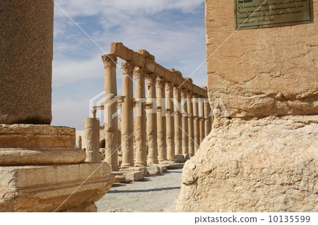 Palmyra remains Palmyra remains 10135599