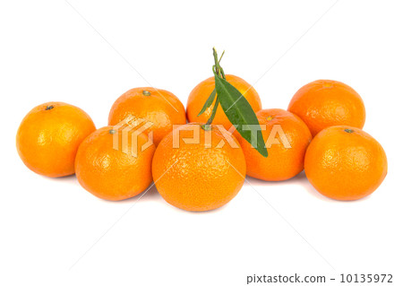 ripe mandarin 10135972