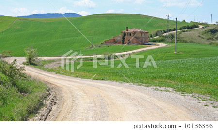Italy. Val D'Orcia valley. Tuscany landscape 10136336