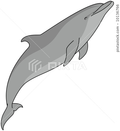 手海豚 手海豚 10136766
