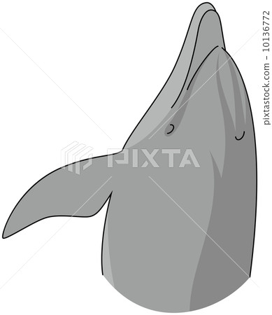 手海豚 手海豚 10136772