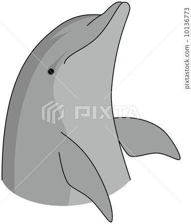 手海豚 手海豚 10136773