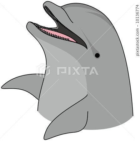 手海豚 手海豚 10136774