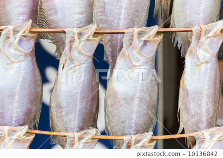 Sunny clay sun dried 10136842