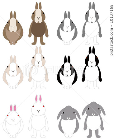 Rabbit  10137168