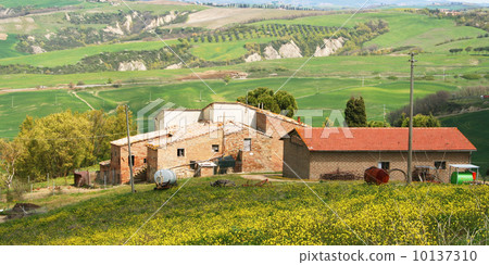 Italy. House in Tuscany. Val D'Orcia valley 10137310
