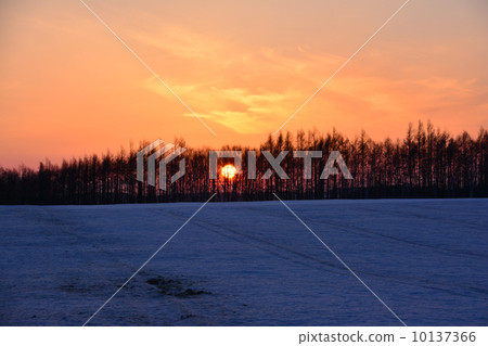 Setting sun 10137366