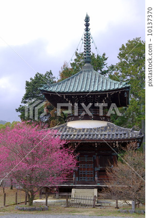 Kiyoshiji Temple 10137370