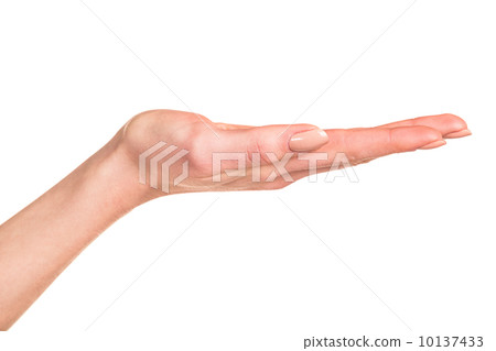 empty female woman hand empty female woman hand 10137433
