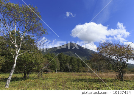 初夏的Masayama 初夏的Masayama 10137434