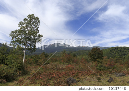 從Ichinose花園看到的Norikura山 10137448