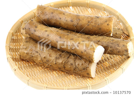 Tororo山藥 10137570