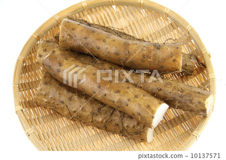 Tororo山藥 10137571