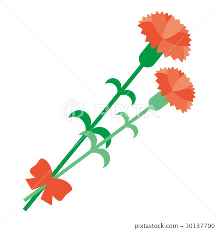 Carnation  10137700