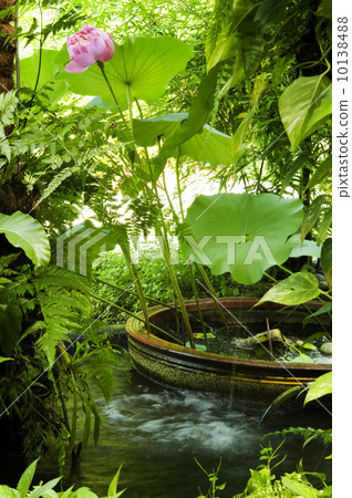 Secret garden 10138488