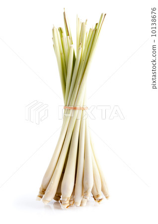 Lemon Grass Lemon Grass 10138676