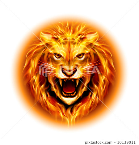 Head of fire lion. 10139011