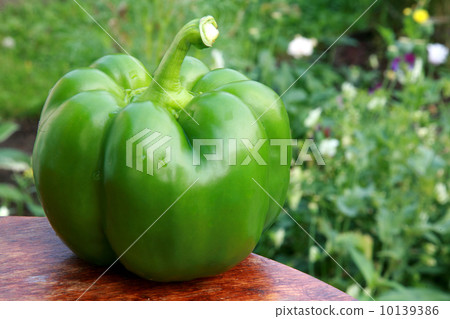 Colorful big green pepper closeup Colorful big green pepper closeup 10139386