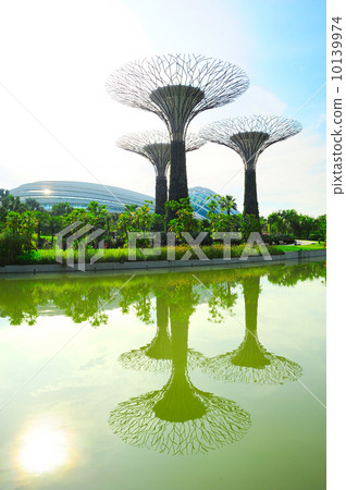 Gardens by the Bay, Singapore 10139974