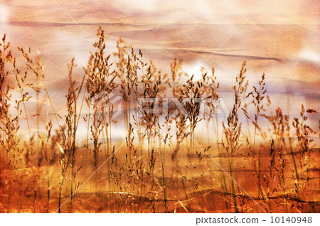 Nature Background Nature Background 10140948
