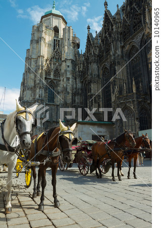 Horse-drawn Carriage in Vienna 10140965