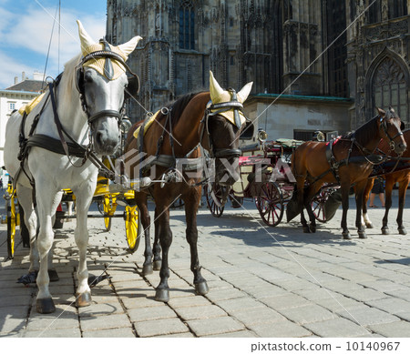 Horse-drawn Carriage in Vienna Horse-drawn Carriage in Vienna 10140967