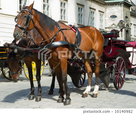 Horse-drawn Carriage in Vienna Horse-drawn Carriage in Vienna 10140982
