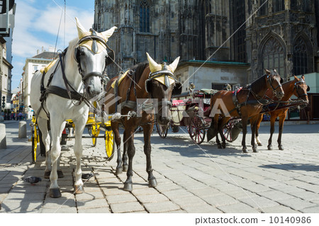 Horse-drawn Carriage in Vienna 10140986