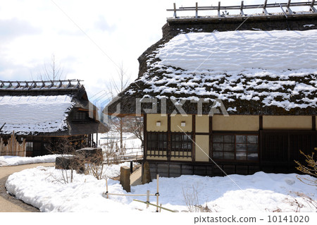 Private house with a cabin roof 10141020