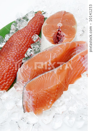 三文魚 三文魚 10141253