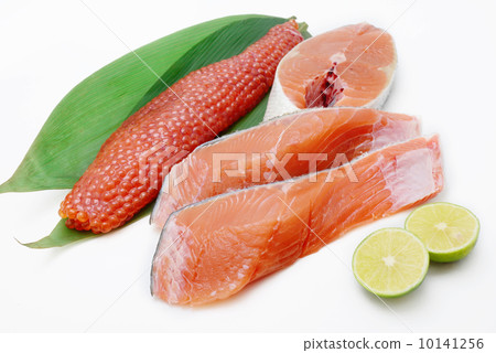 三文魚 三文魚 10141256