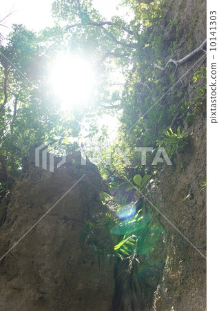 Funami Utagi 10141303