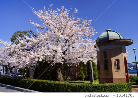 Wandering wharf office trail 10141703