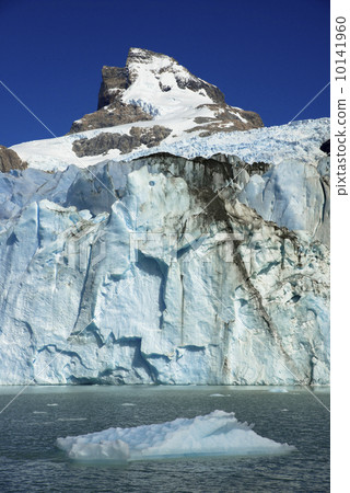The Spagatzini glacier in the Patagonia region 10141960