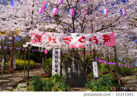 Kinugasa Cherry Blossom Festival Kinugasa Cherry Blossom Festival 10141981